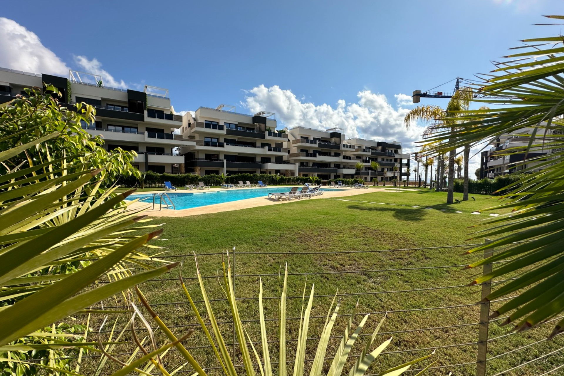 Resale - 1. Apartment / flat - Playa Flamenca - Costa Blanca South