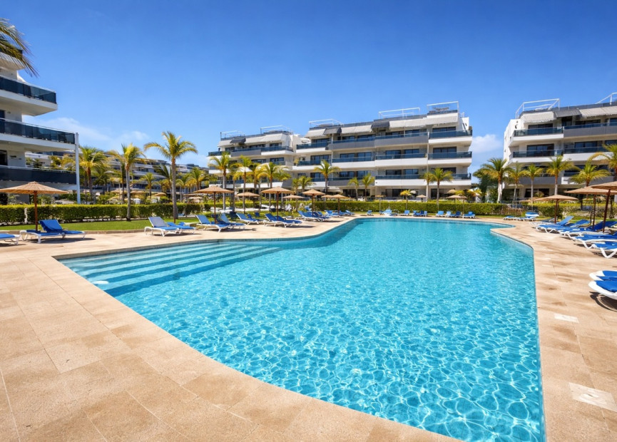 Resale - 1. Apartment / flat - Playa Flamenca - Costa Blanca South
