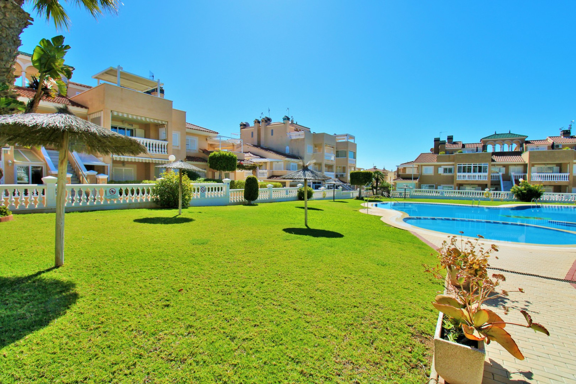 Resale - 1. Apartment / flat - Playa Flamenca - Costa Blanca South