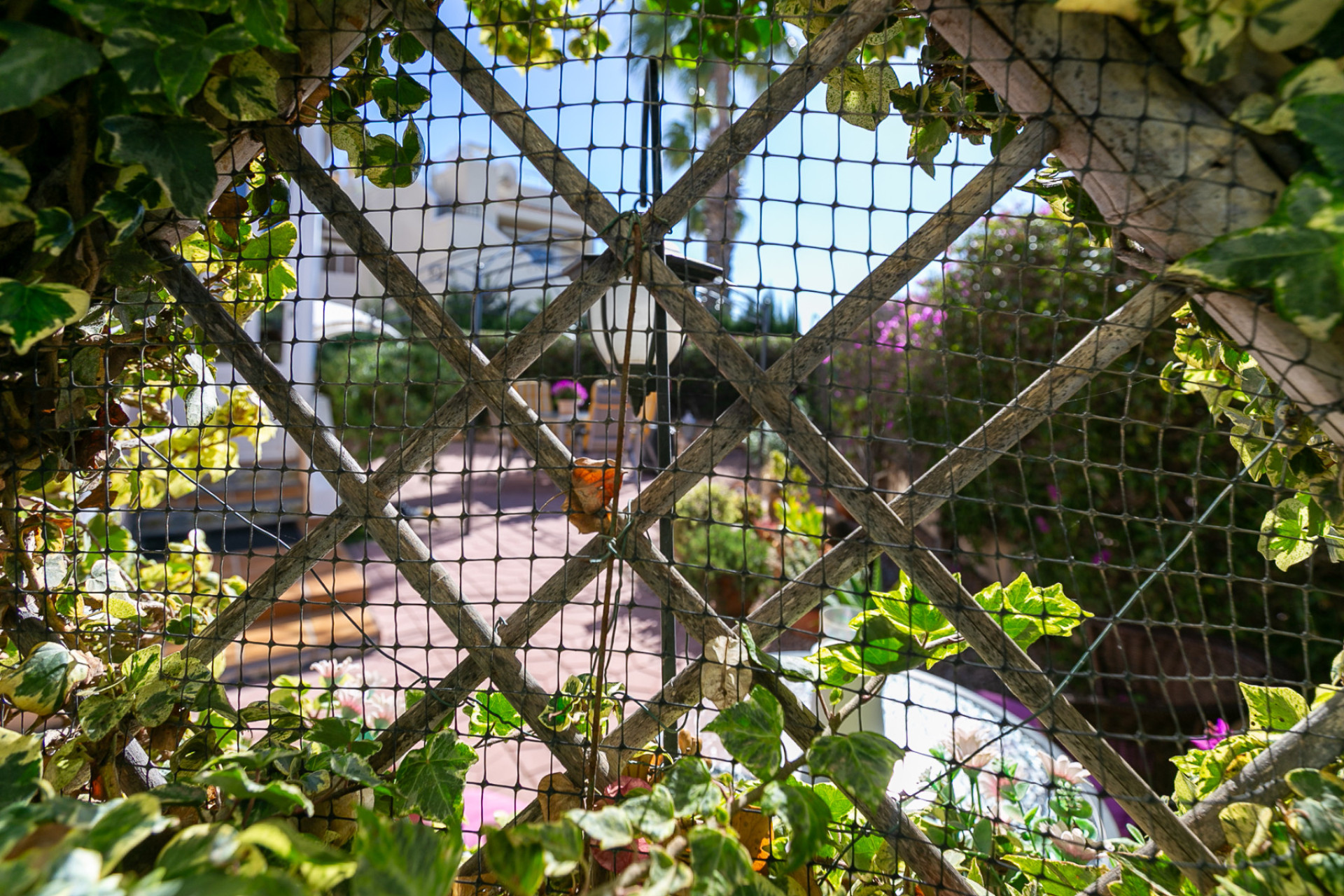 Resale - 1. Apartment / flat - Playa Flamenca - Costa Blanca South