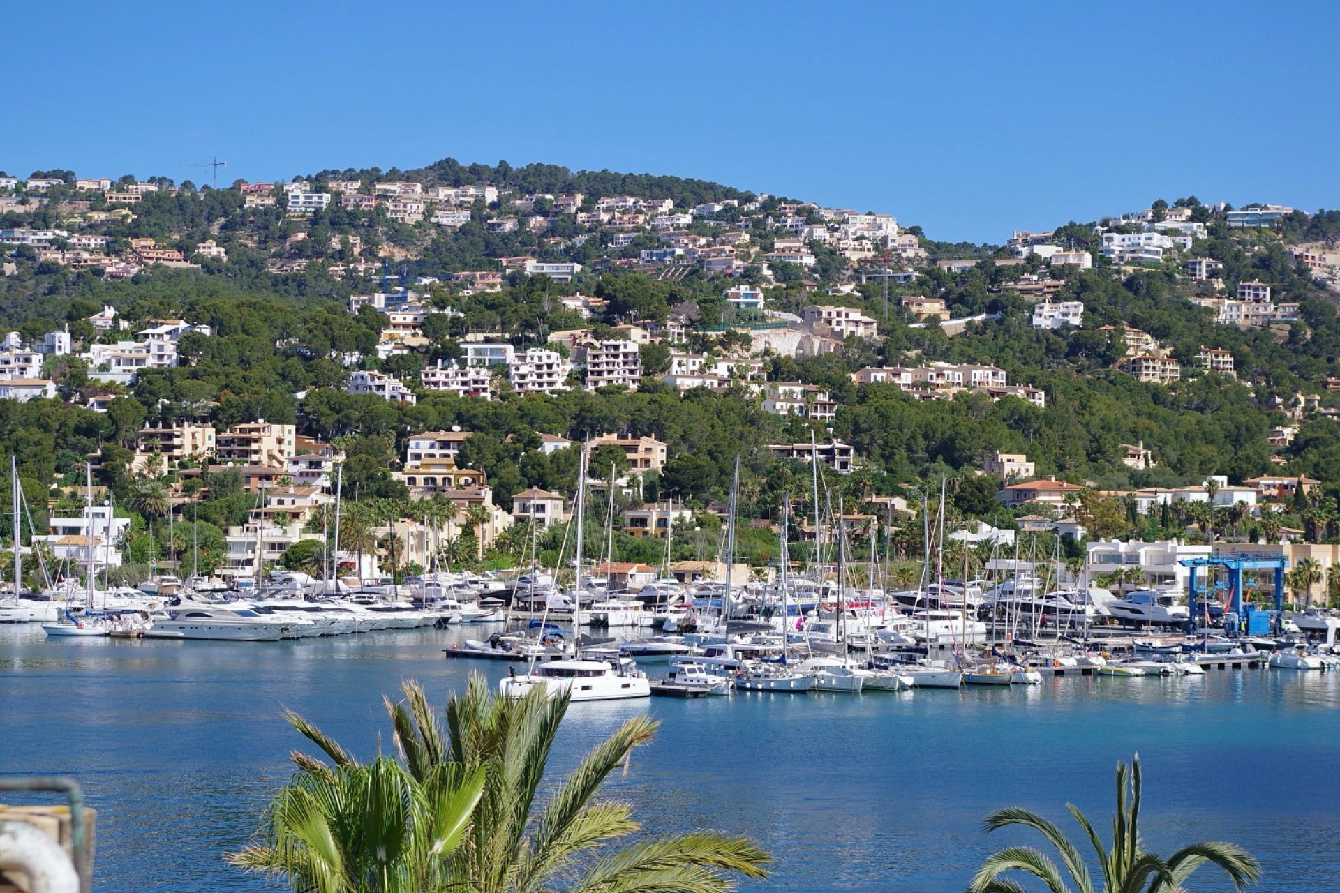 Resale - 1. Apartment / flat - Port d'Andratx - Mallorca