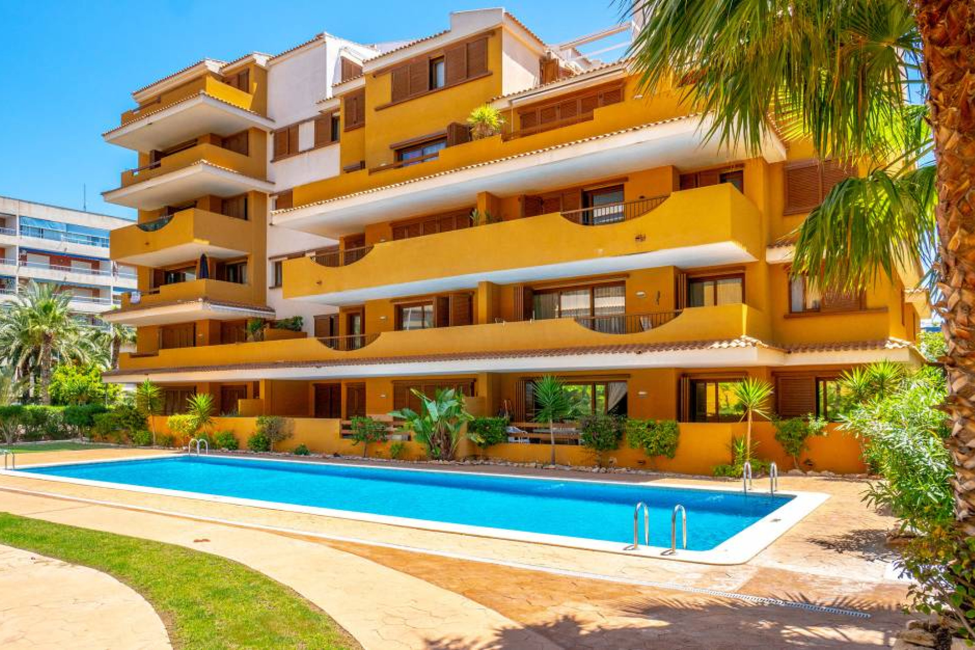 Resale - 1. Apartment / flat - Punta Prima - Costa Blanca South