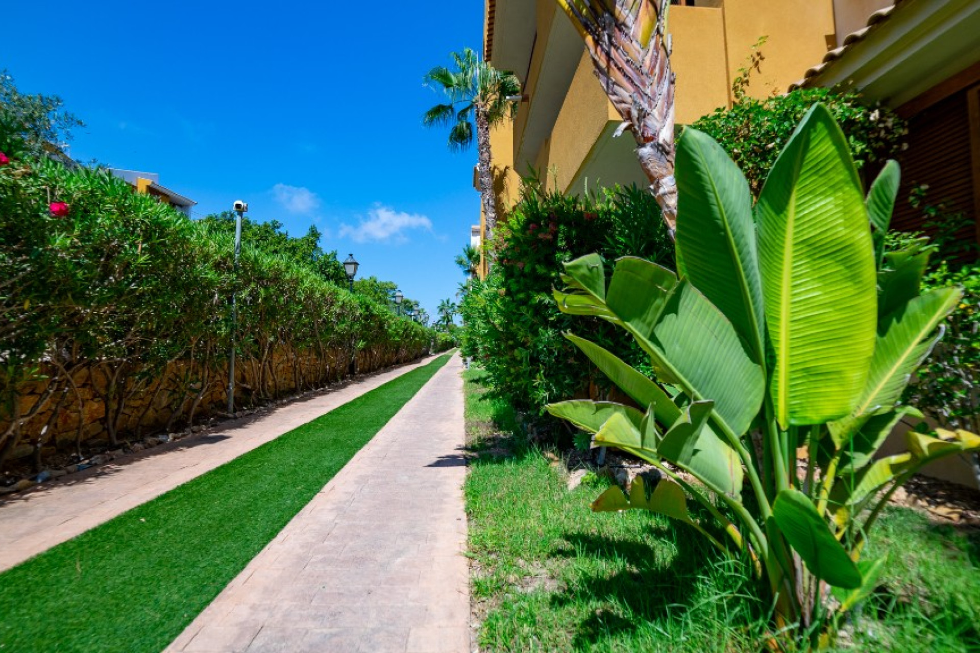 Resale - 1. Apartment / flat - Punta Prima - Costa Blanca South