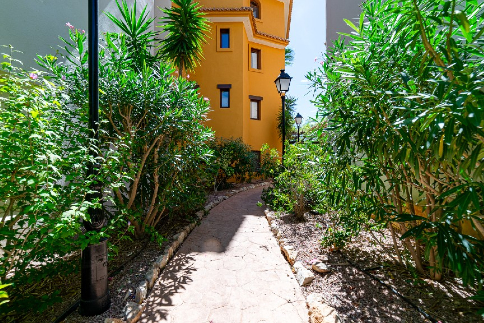 Resale - 1. Apartment / flat - Punta Prima - Costa Blanca South