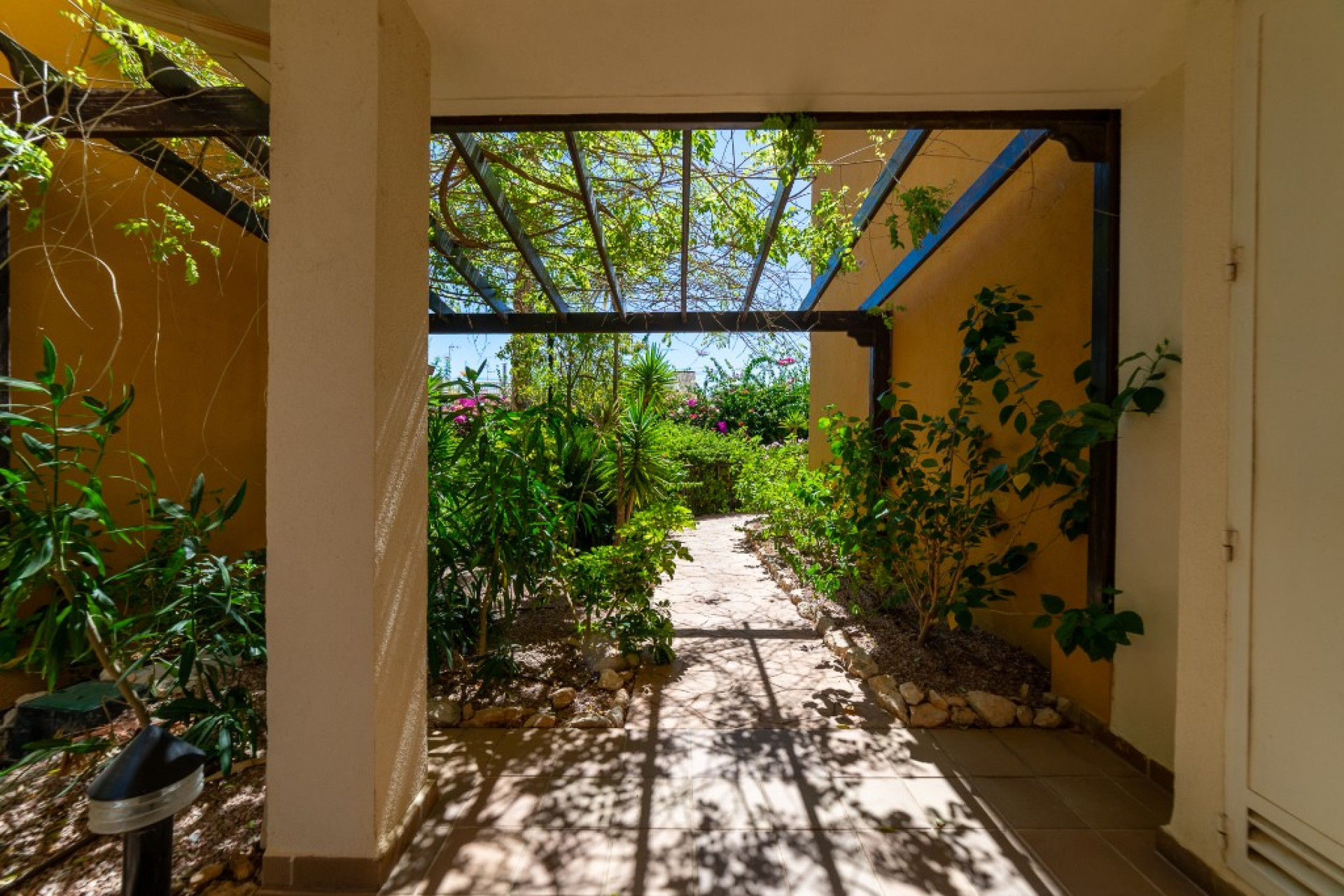 Resale - 1. Apartment / flat - Punta Prima - Costa Blanca South