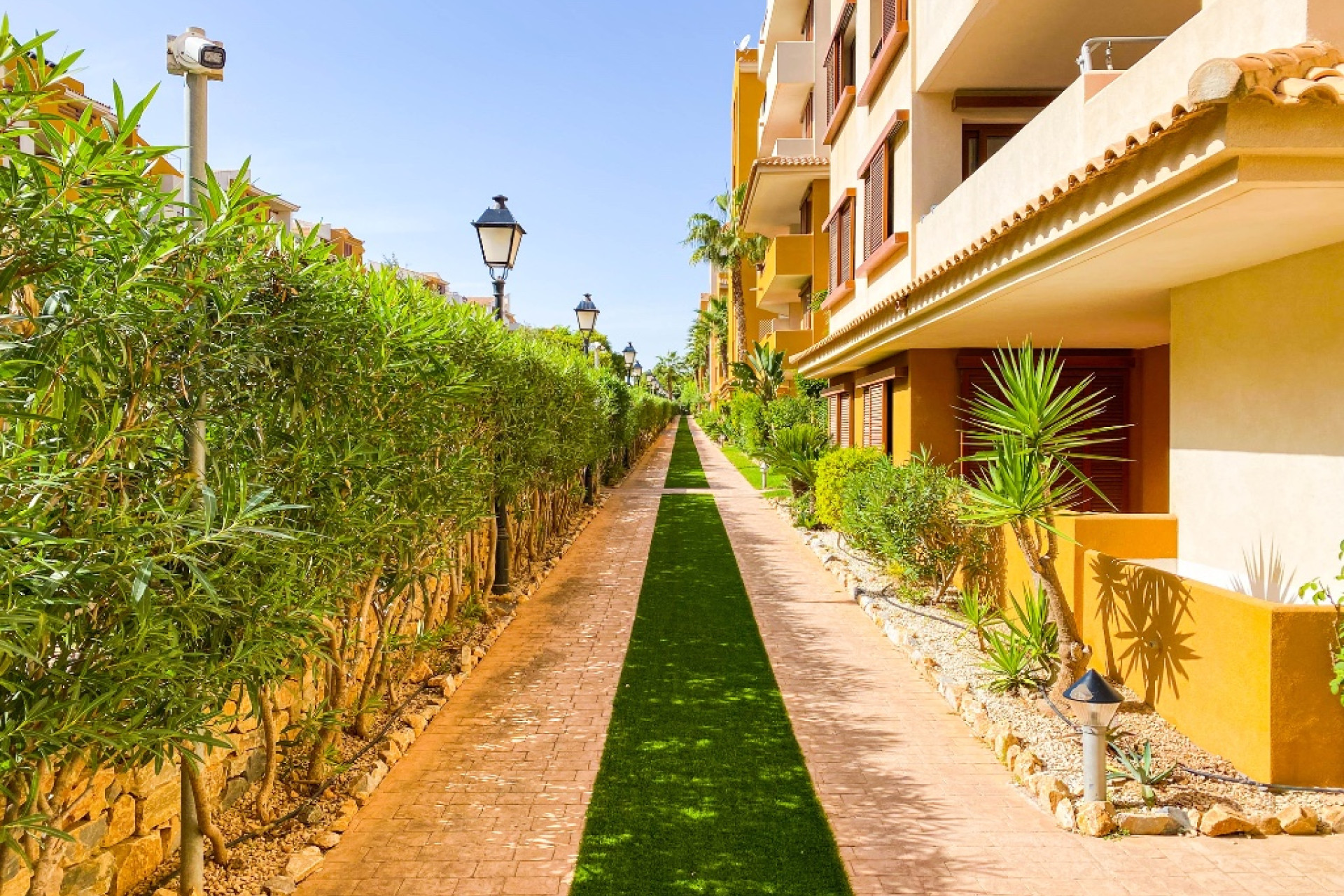 Resale - 1. Apartment / flat - Punta Prima - Costa Blanca South