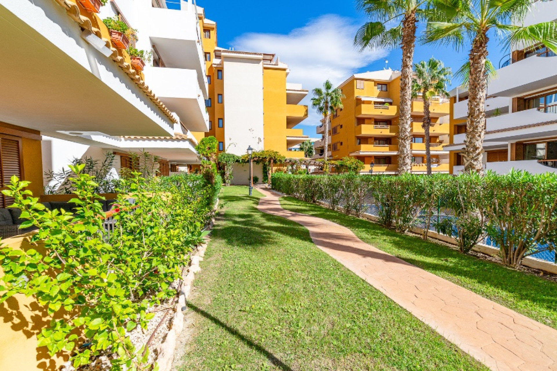 Resale - 1. Apartment / flat - Punta Prima - Costa Blanca South