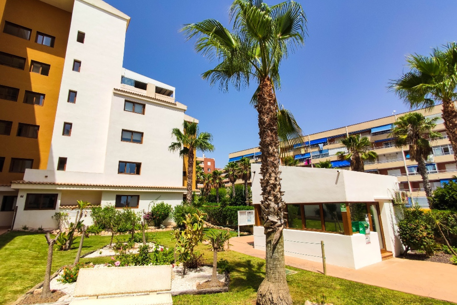 Resale - 1. Apartment / flat - Punta Prima - Costa Blanca South