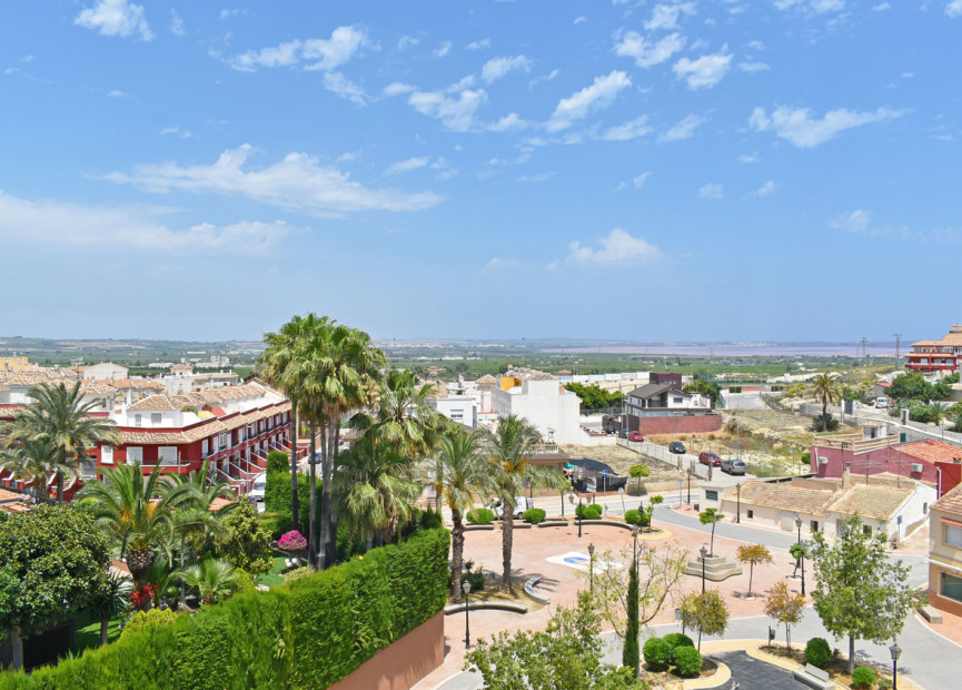 Resale - 1. Apartment / flat - San Miguel de Salinas - Costa Blanca South