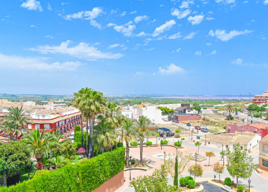 Resale - 1. Apartment / flat - San Miguel de Salinas - Costa Blanca South
