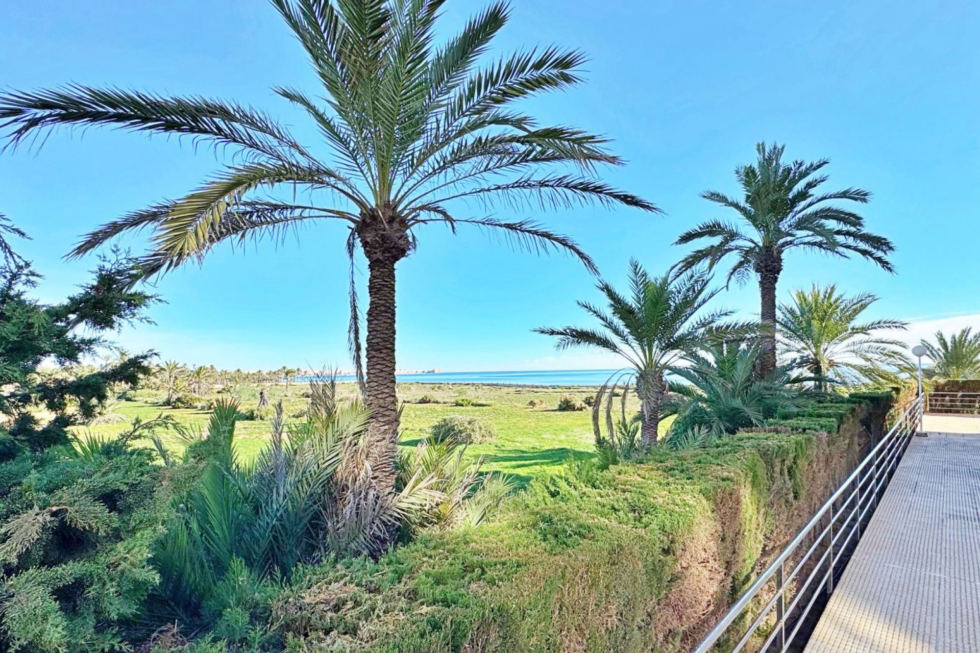 Resale - 1. Apartment / flat - Torrevieja - Costa Blanca South