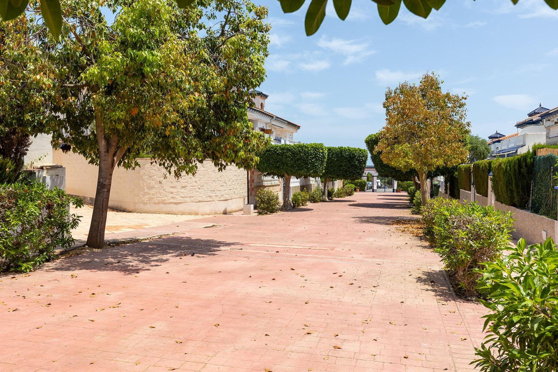 Resale - 1. Apartment / flat - Torrevieja - Costa Blanca South