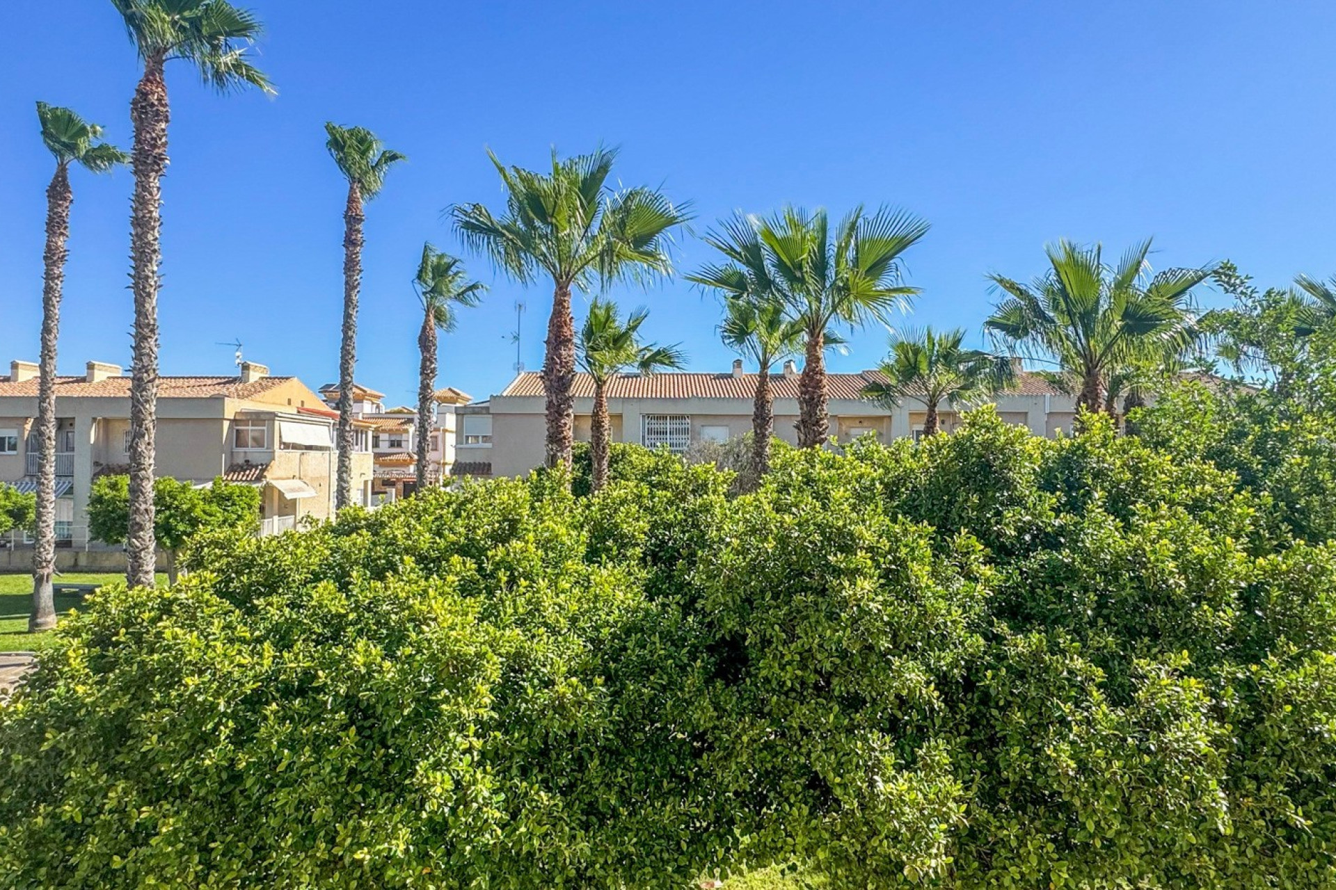 Resale - 1. Apartment / flat - Torrevieja - Costa Blanca South