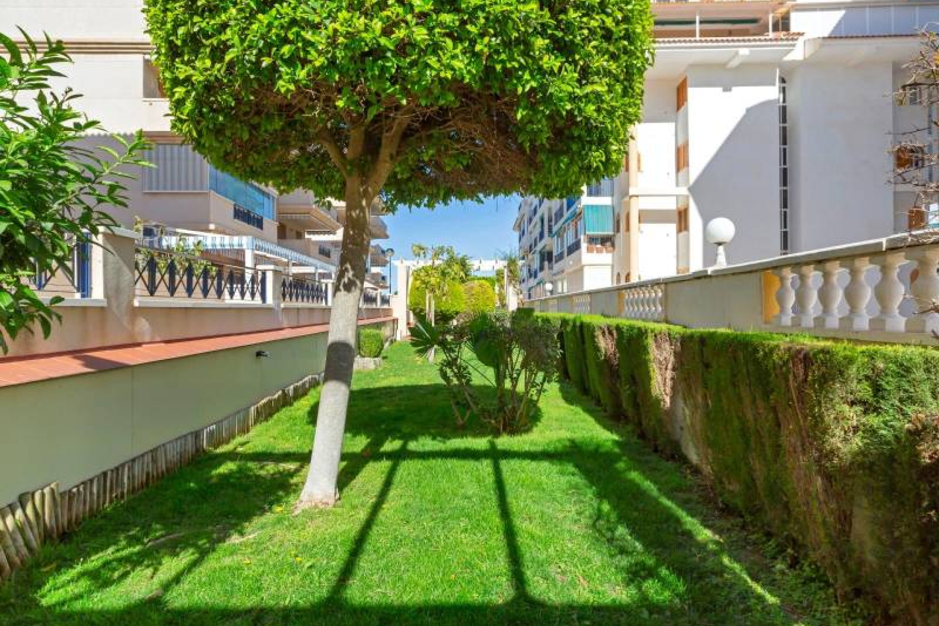 Resale - 1. Apartment / flat - Torrevieja - Costa Blanca South