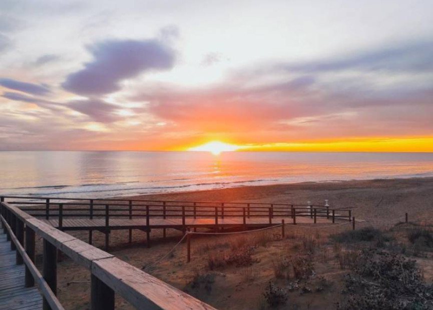 Resale - 1. Apartment / flat - Torrevieja - Costa Blanca South