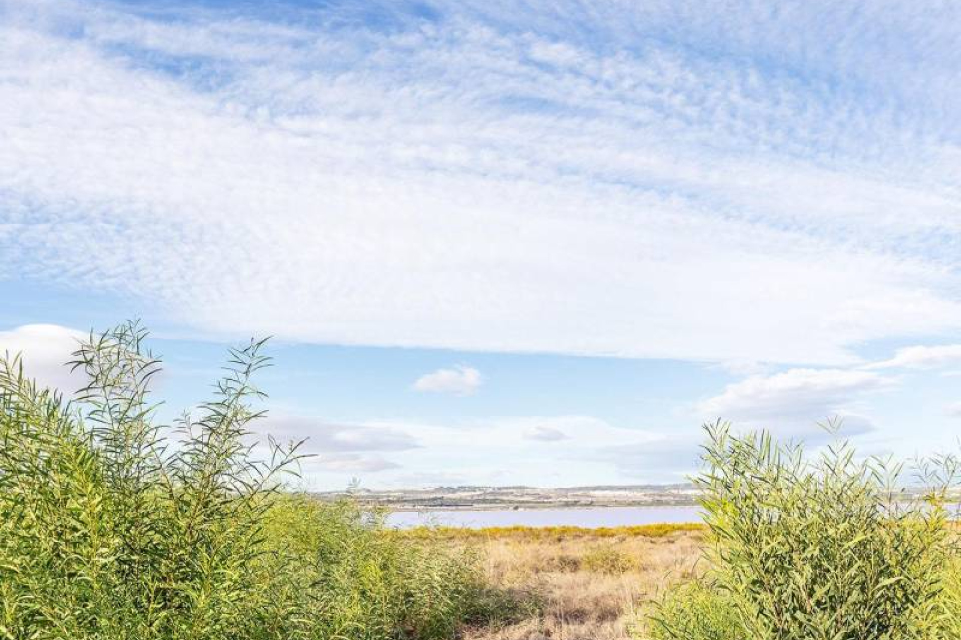 Resale - 1. Apartment / flat - Torrevieja - Costa Blanca South