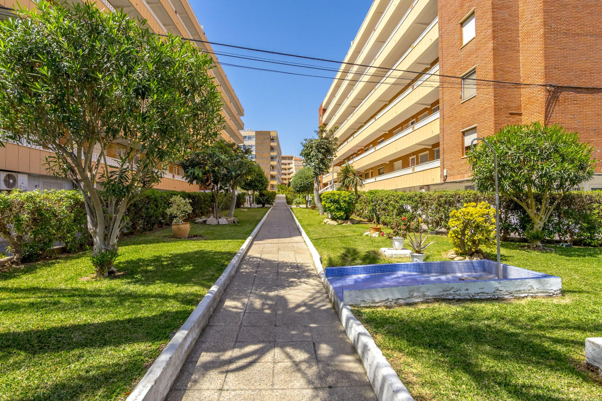 Resale - 1. Apartment / flat - Torrevieja - Orihuela Costa