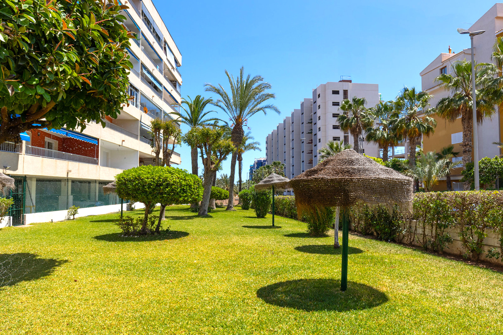 Resale - 1. Apartment / flat - Torrevieja - Rocio del Mar