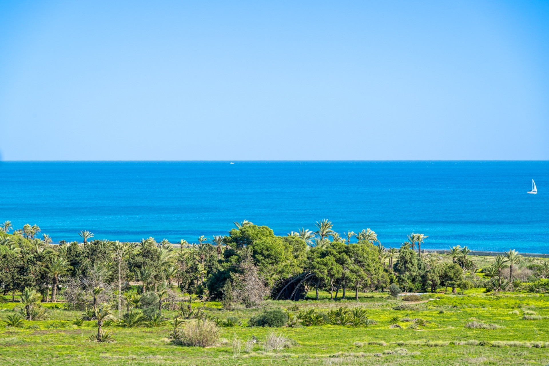 Resale - 1. Apartment / flat - Torrevieja - Rocio del Mar