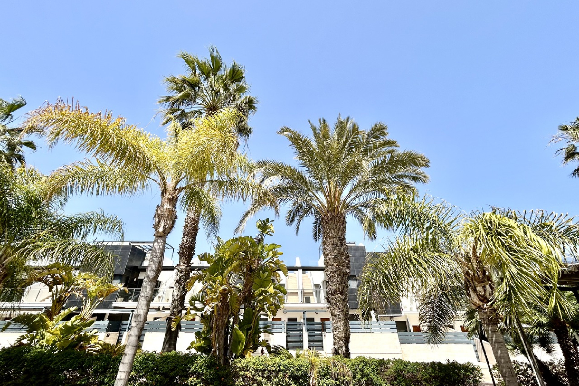 Resale - 2. Town house - Los Dolses - Costa Blanca South