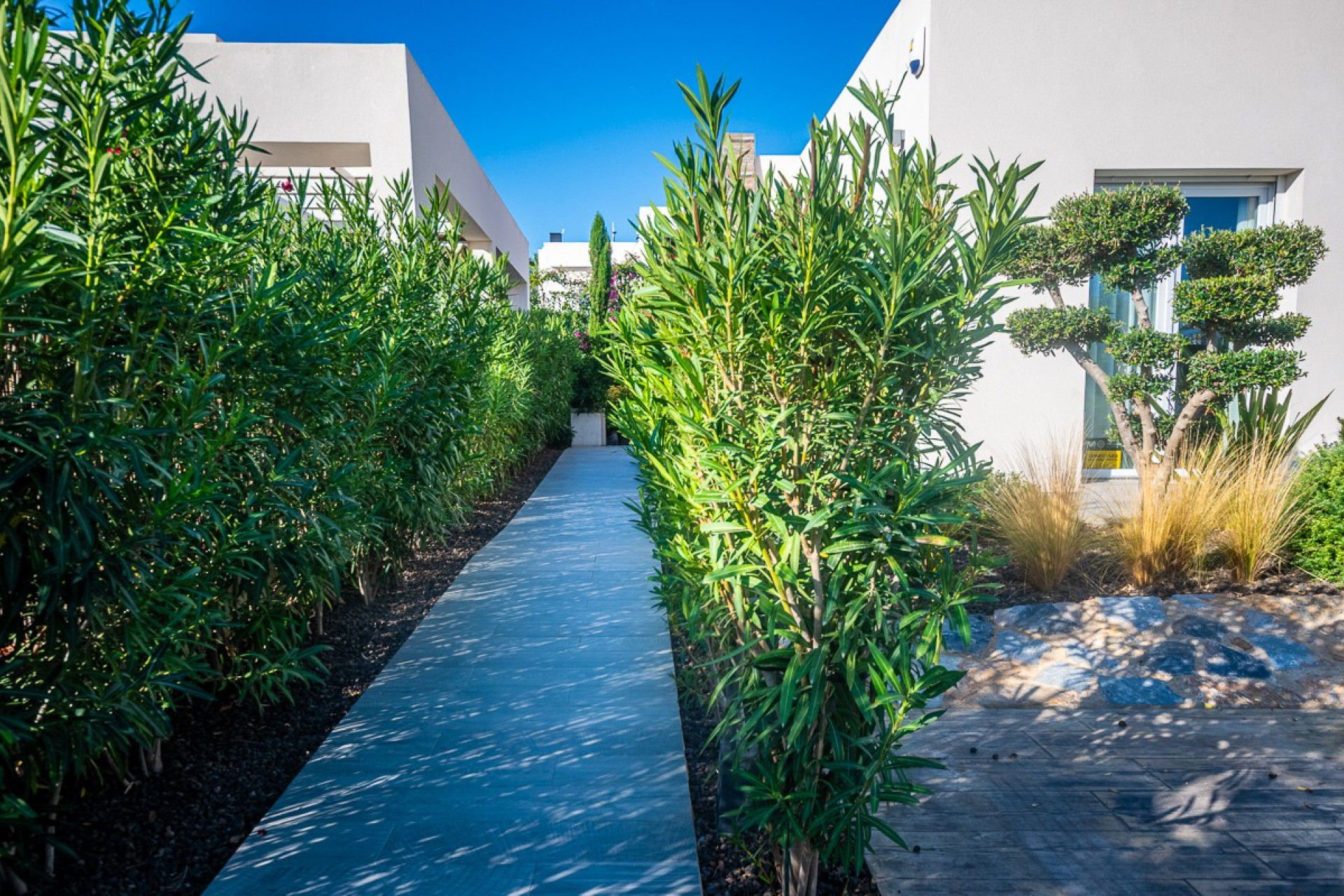 Resale - 3. Detached house - Algorfa - Costa Blanca South