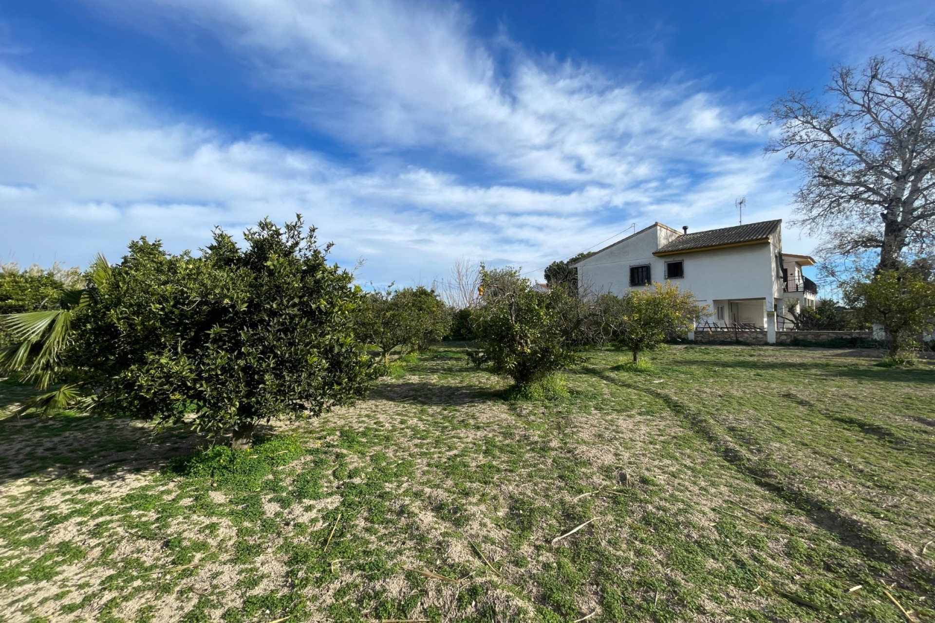 Resale - 3. Detached house - Benejúzar - Comunidad Valenciana