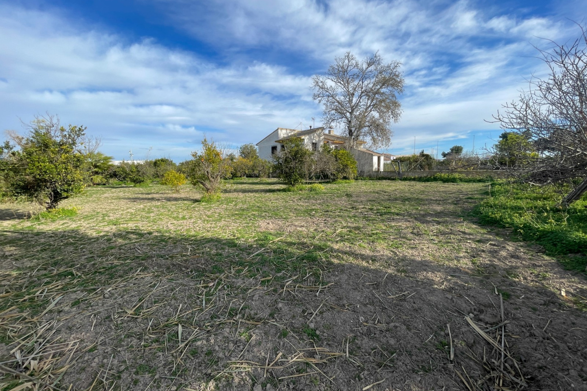 Resale - 3. Detached house - Benejúzar - Comunidad Valenciana