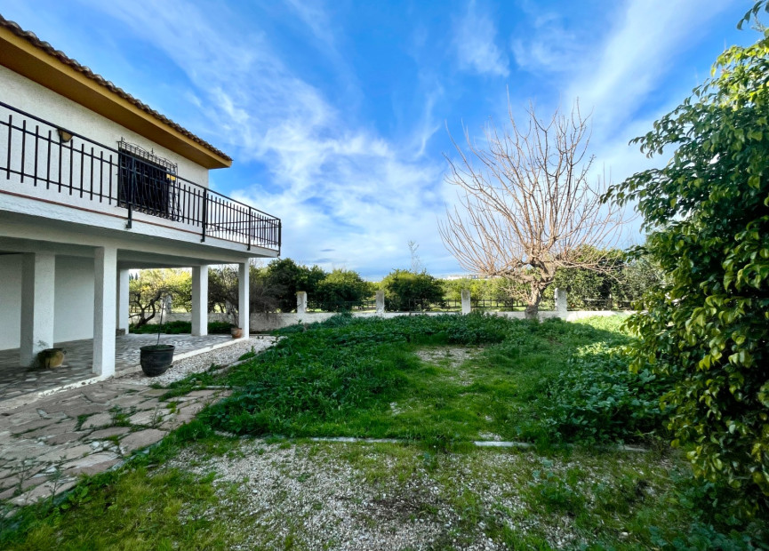 Resale - 3. Detached house - Benejúzar - Comunidad Valenciana