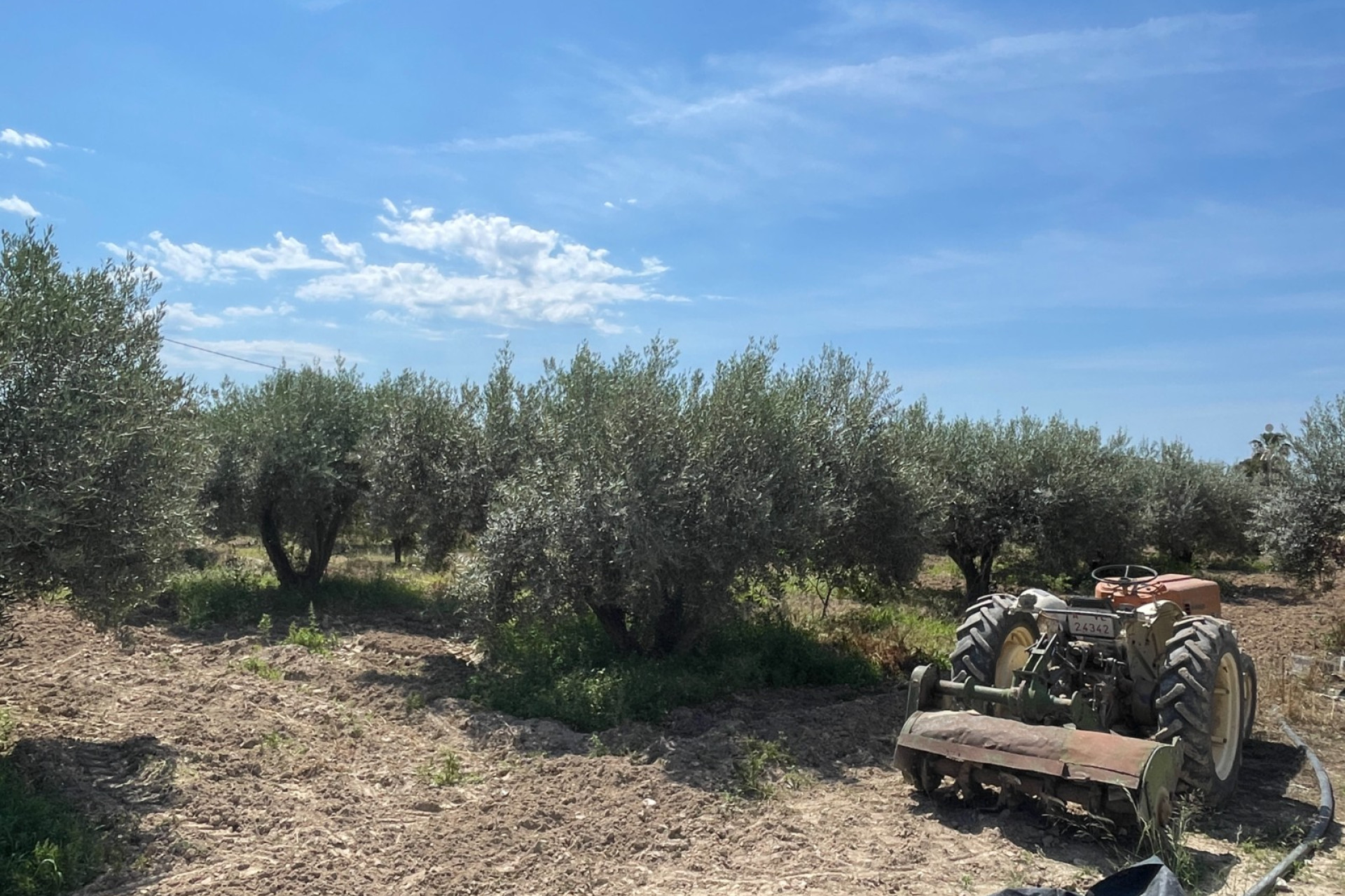 Resale - 3. Detached house - Crevillent - Crevillente