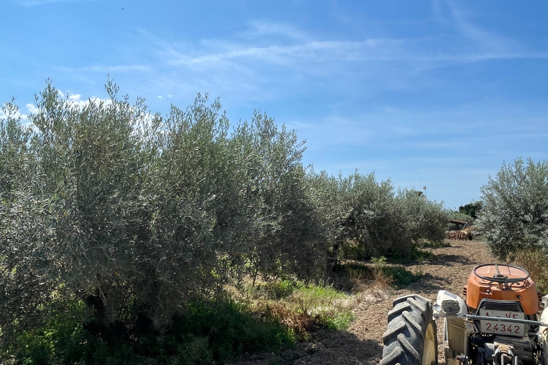 Resale - 3. Detached house - Crevillent - Crevillente