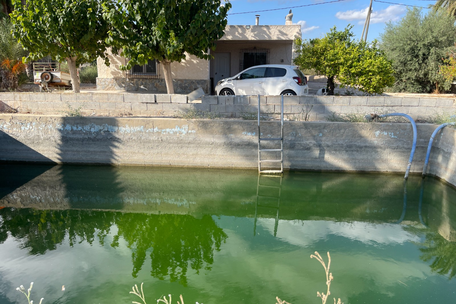 Resale - 3. Detached house - Crevillent - Crevillente