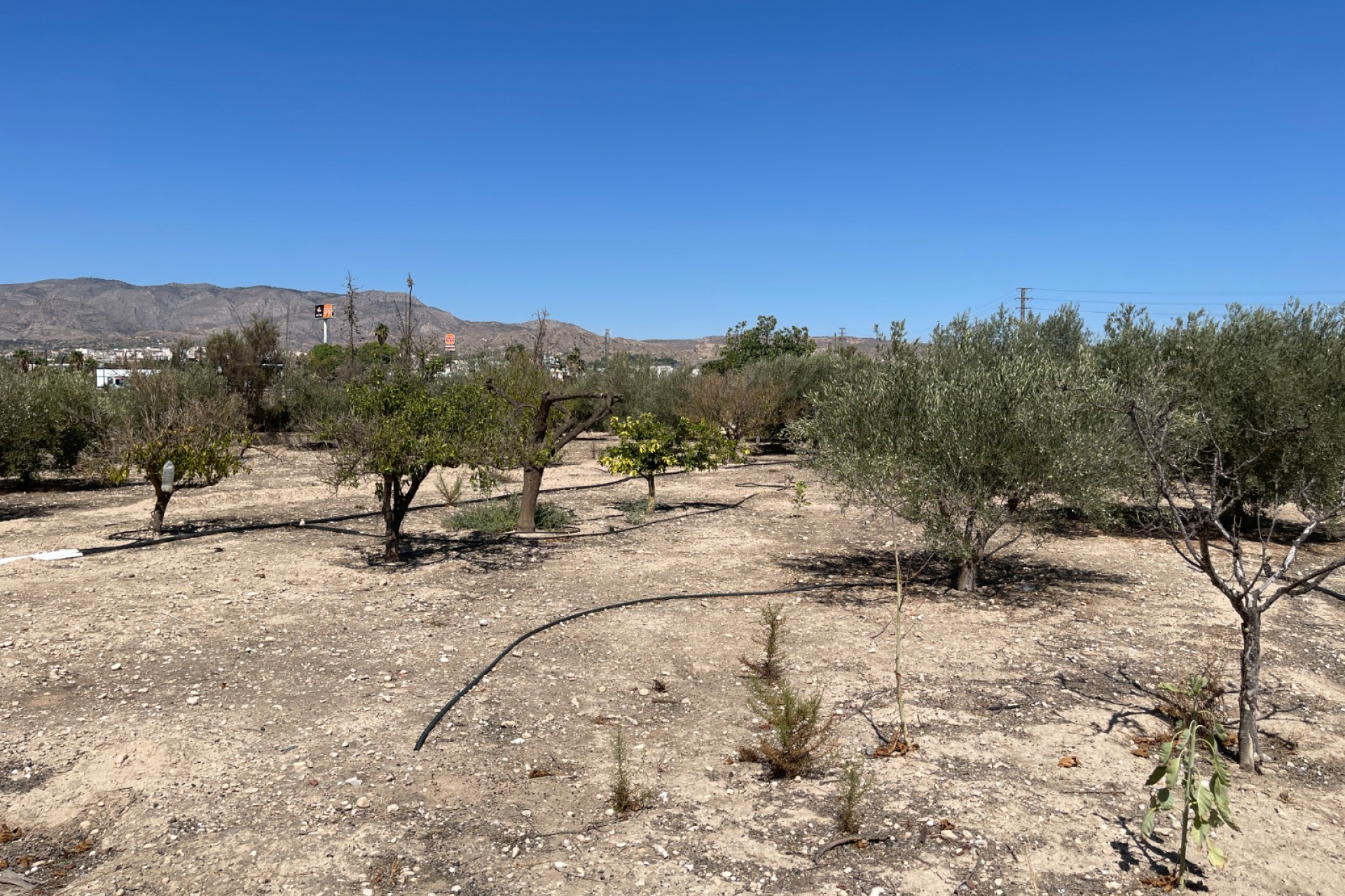 Resale - 3. Detached house - Crevillent - Crevillente