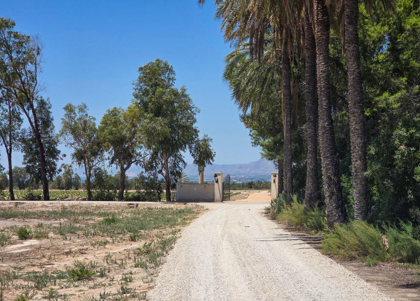 Resale - 3. Detached house - Elche - Costa Blanca South