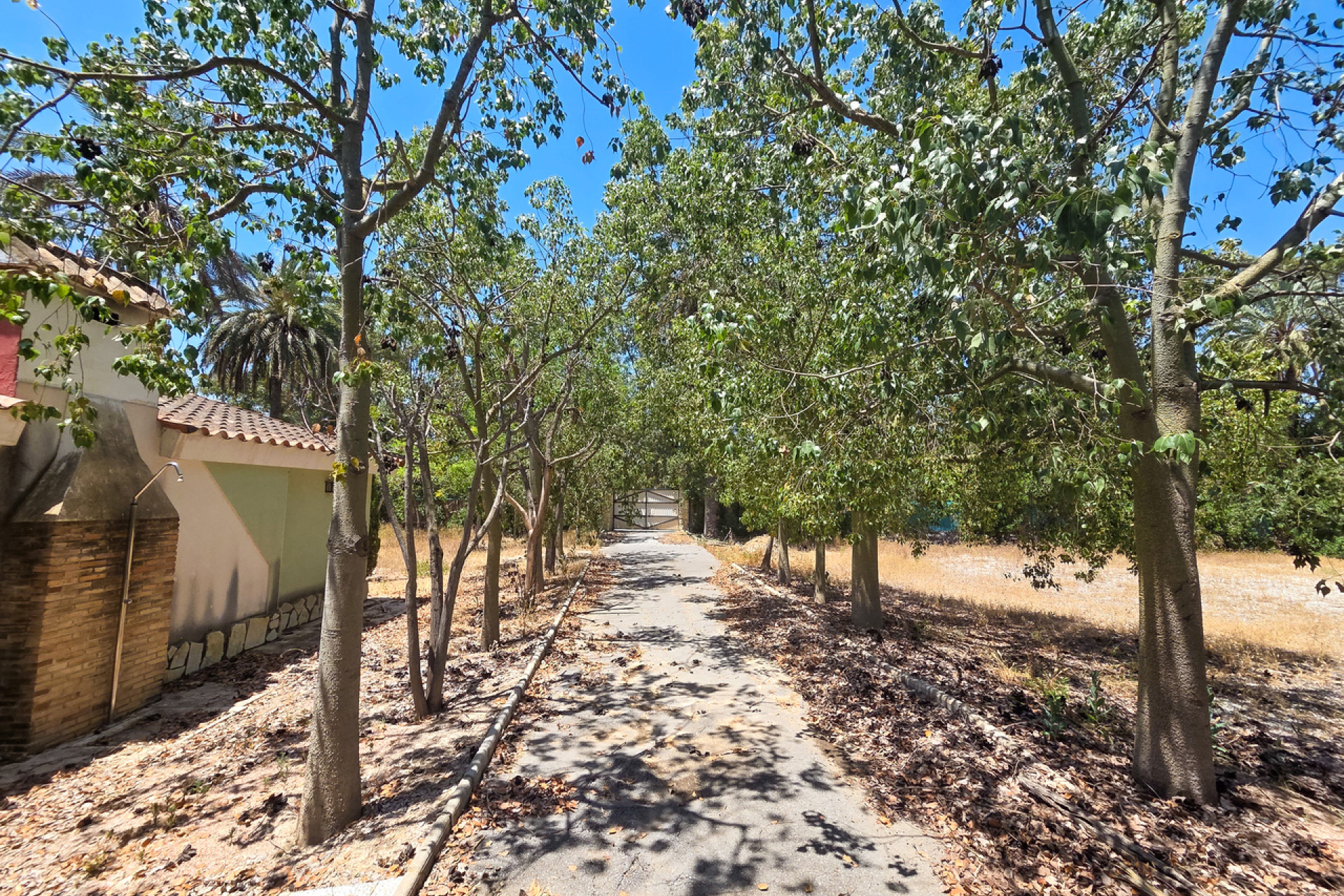 Resale - 3. Detached house - Elche - Costa Blanca South