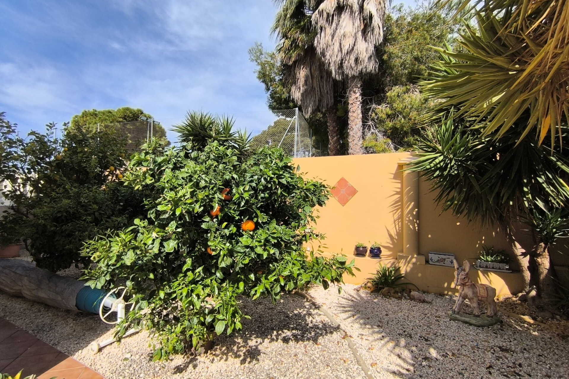 Resale - 3. Detached house - Guardamar del Segura - Costa Blanca South