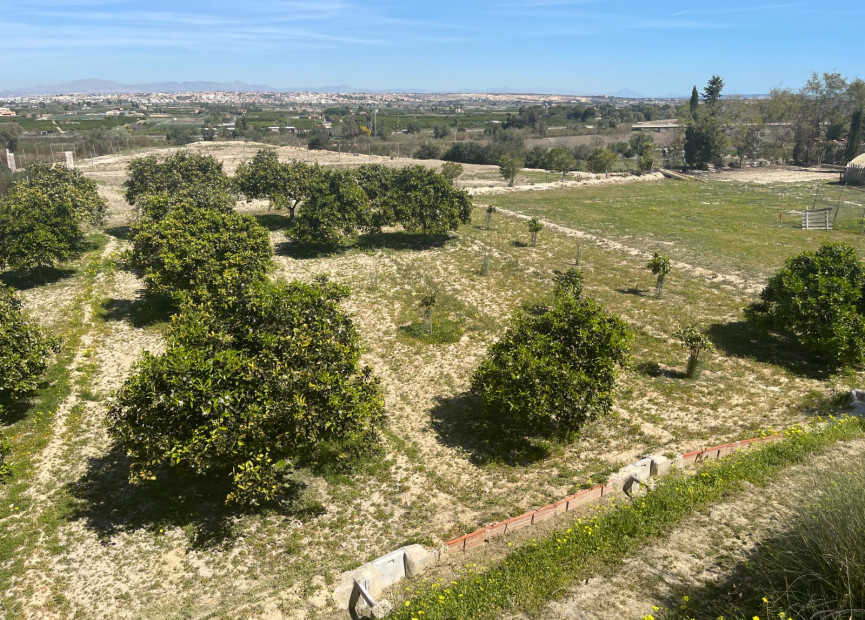 Resale - 3. Detached house - Guardamar del Segura - Valencian Community