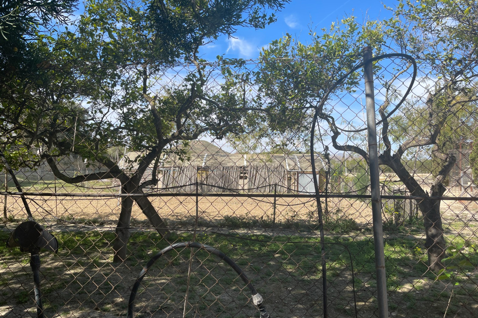 Resale - 3. Detached house - Guardamar del Segura - Valencian Community