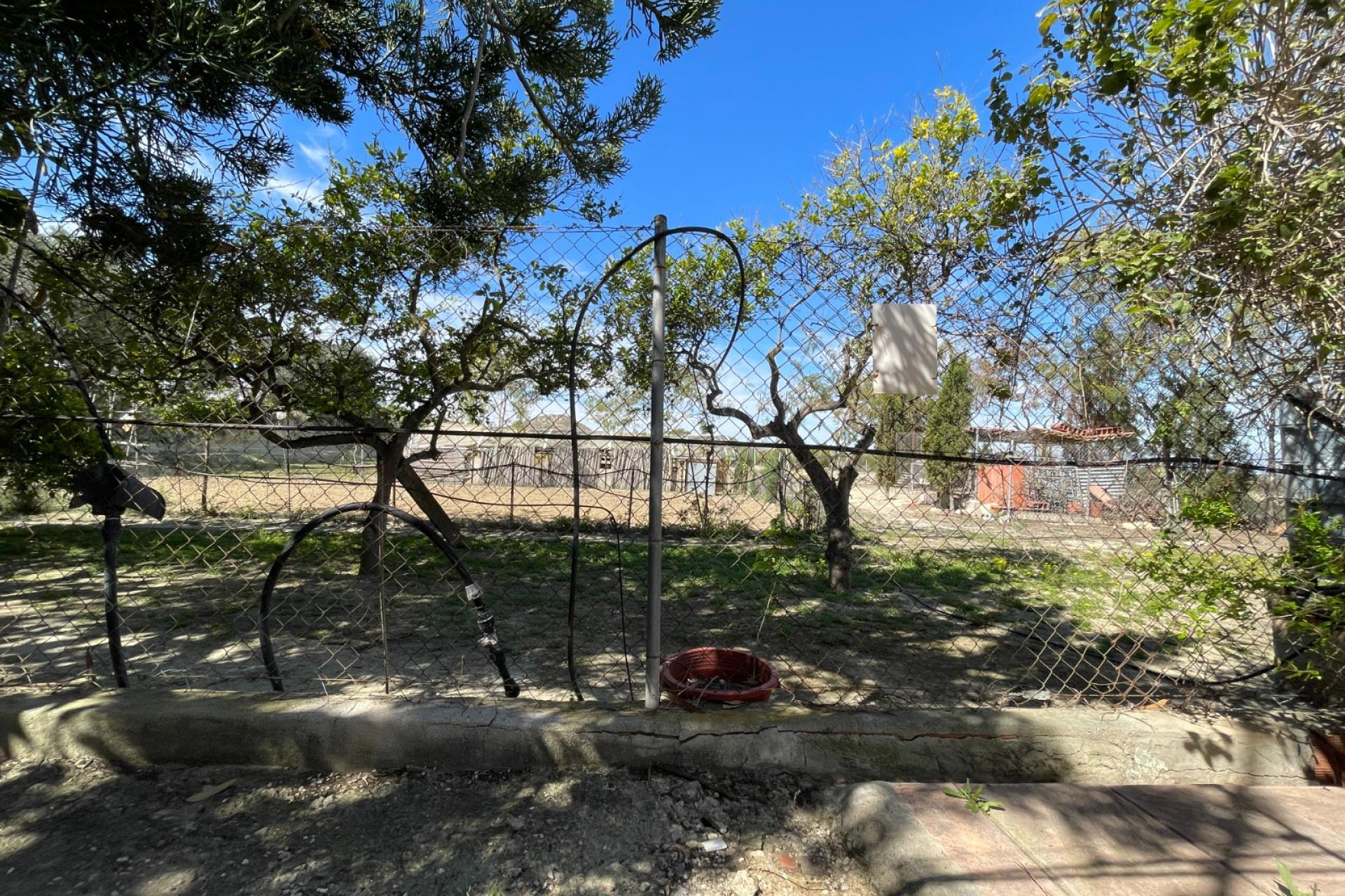 Resale - 3. Detached house - Guardamar del Segura - Valencian Community