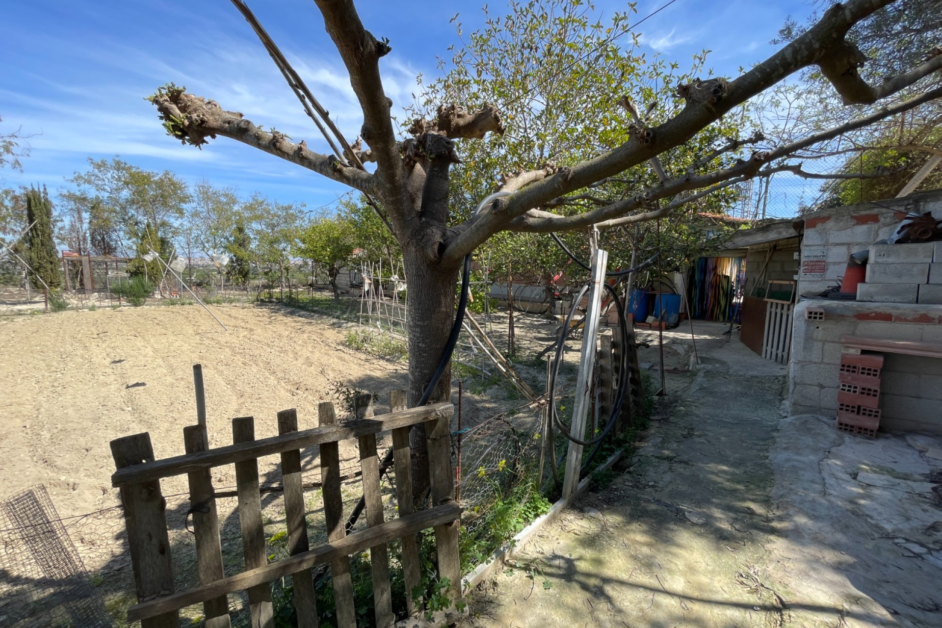 Resale - 3. Detached house - Guardamar del Segura - Valencian Community