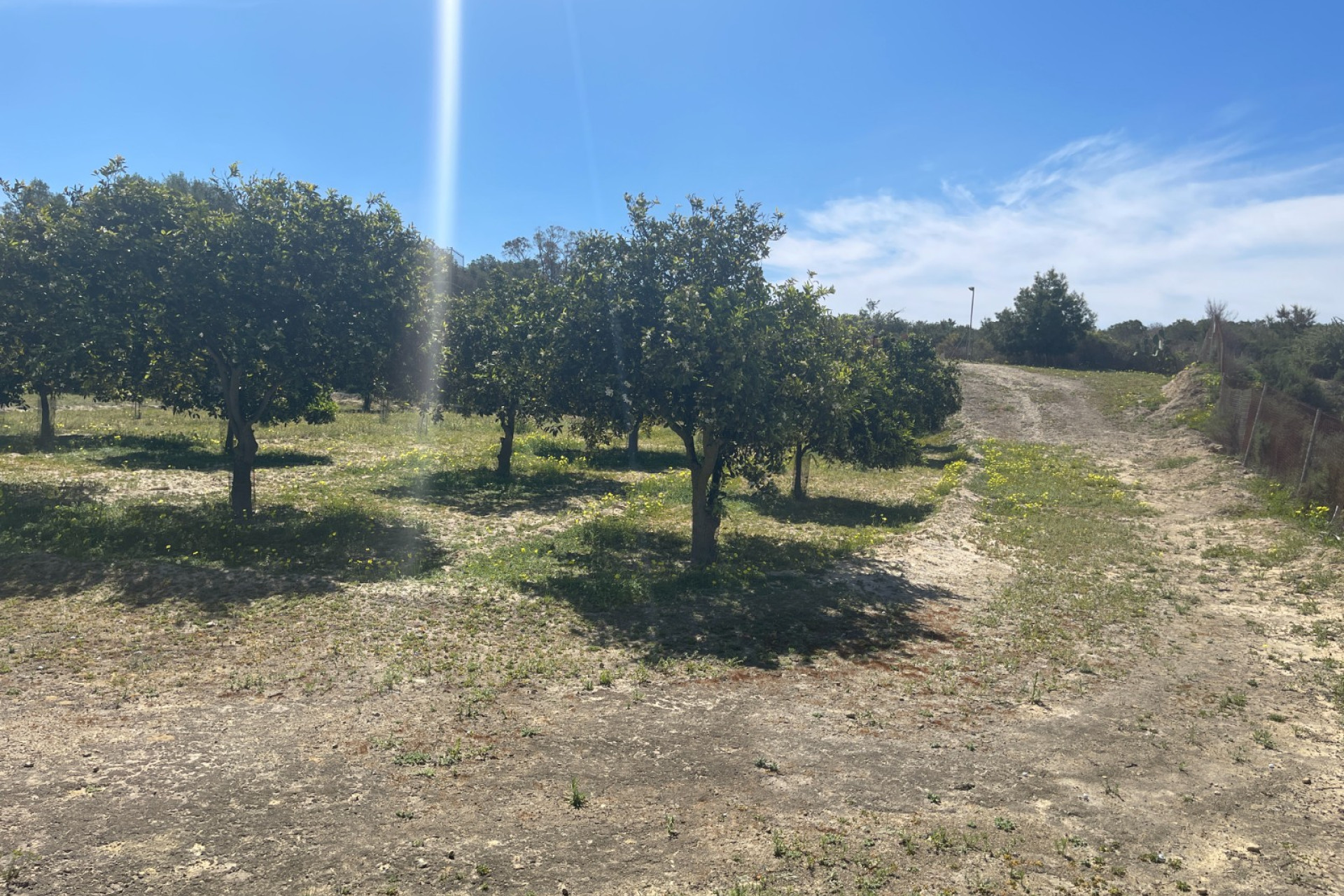 Resale - 3. Detached house - Guardamar del Segura - Valencian Community