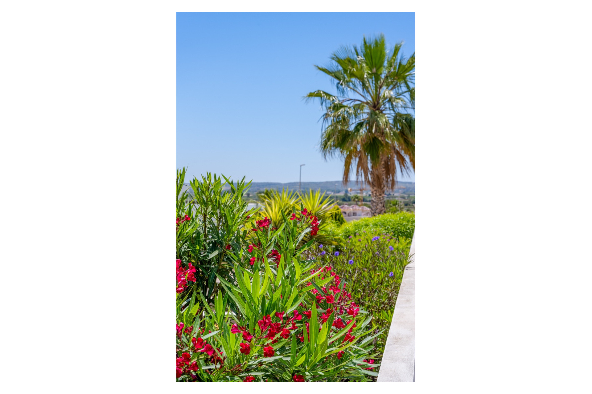 Resale - 3. Detached house - La Marina - Costa Blanca South