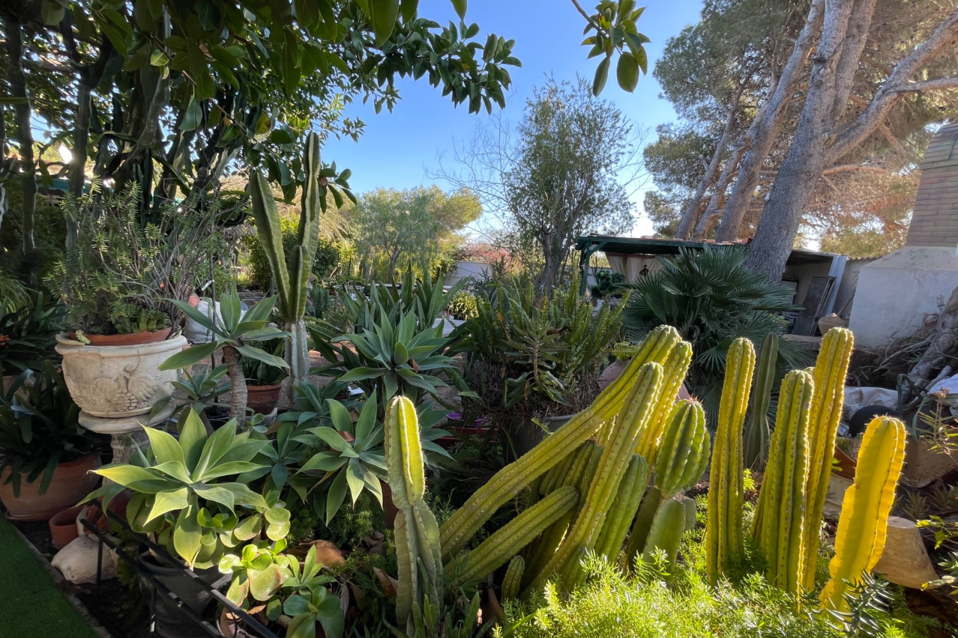 Resale - 3. Detached house - Orihuela Costa - Costa Blanca South