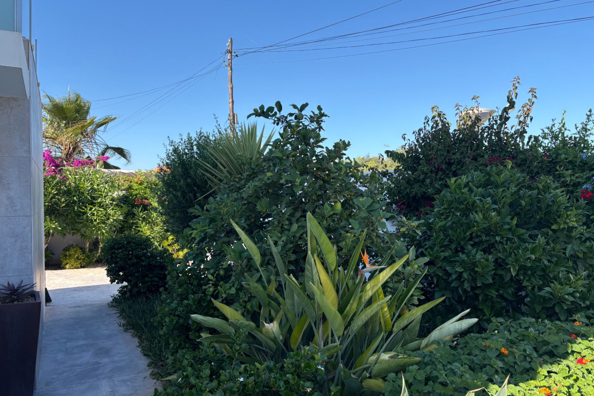Resale - 3. Detached house - Torrevieja - Torreta - Florida