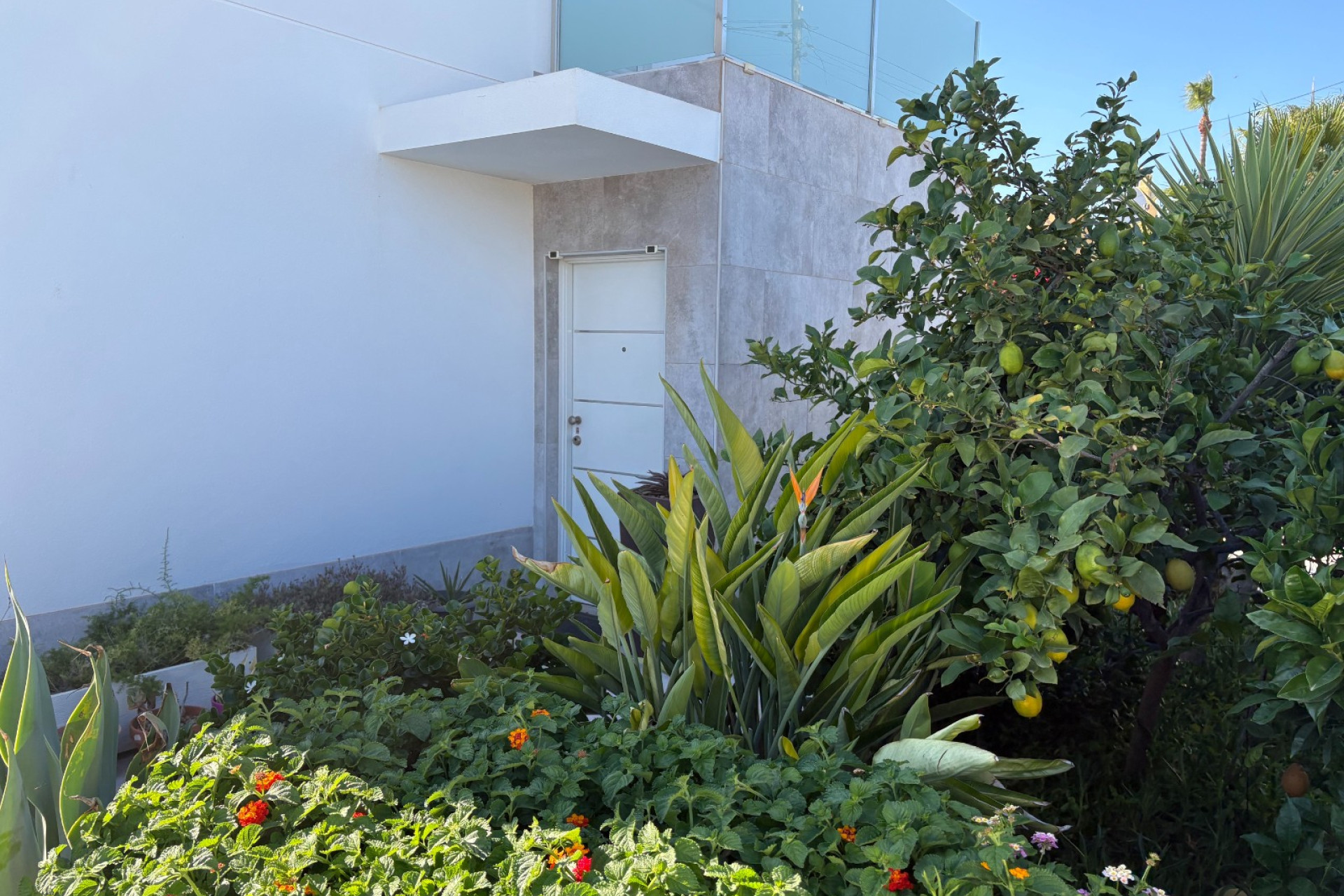 Resale - 3. Detached house - Torrevieja - Torreta - Florida