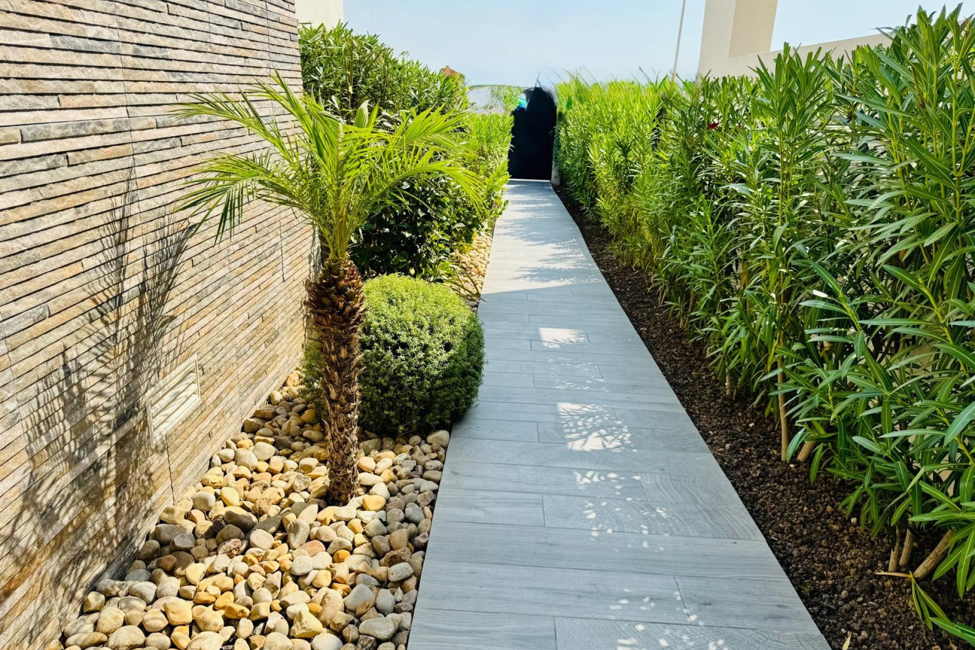 Resale - 3. Semi-detached house - Algorfa - Costa Blanca South