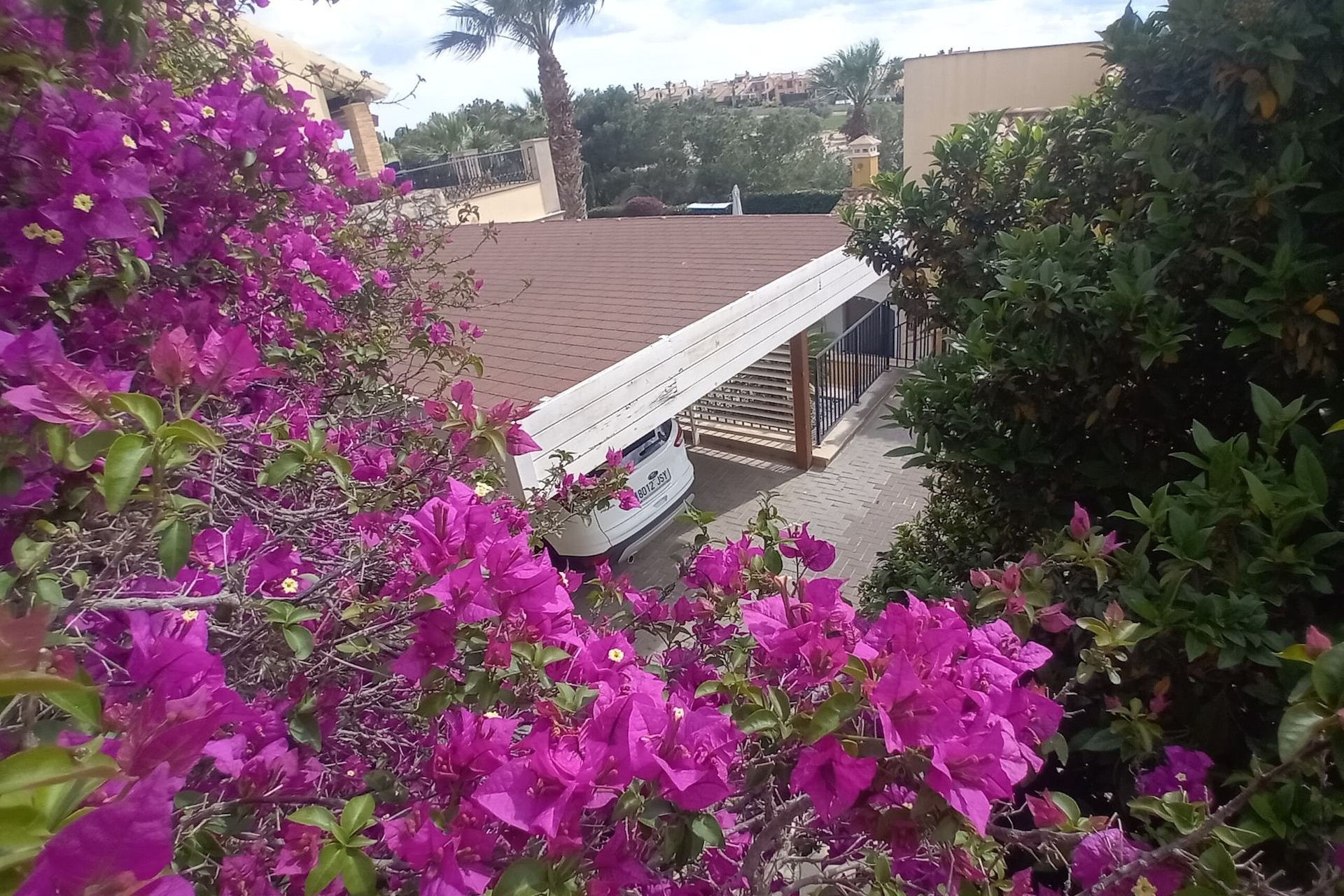 Resale - 3. Semi-detached house - Algorfa - Costa Blanca South