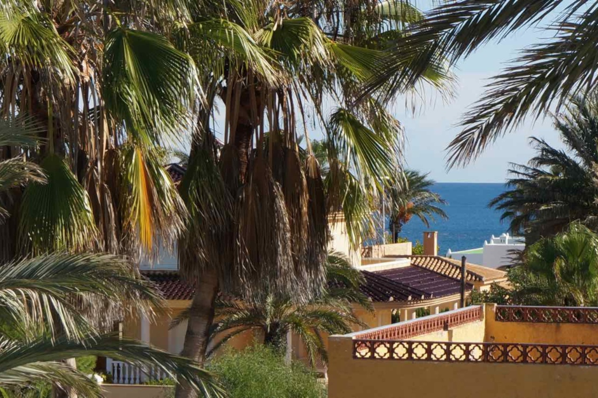 Resale - 3. Semi-detached house - Cabo Roig - Costa Blanca South