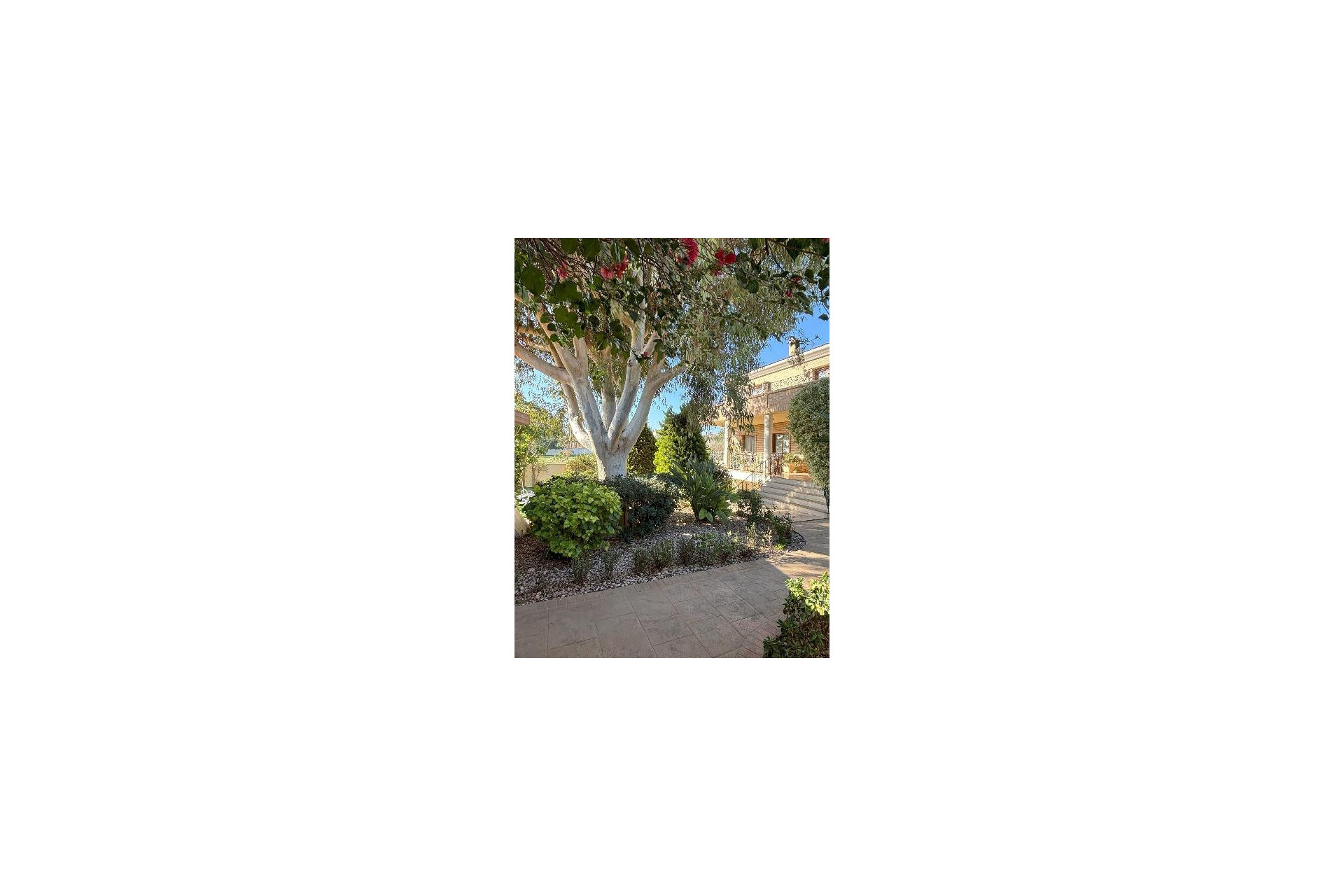 Resale - 3. Semi-detached house - Ciudad Quesada - Costa Blanca South