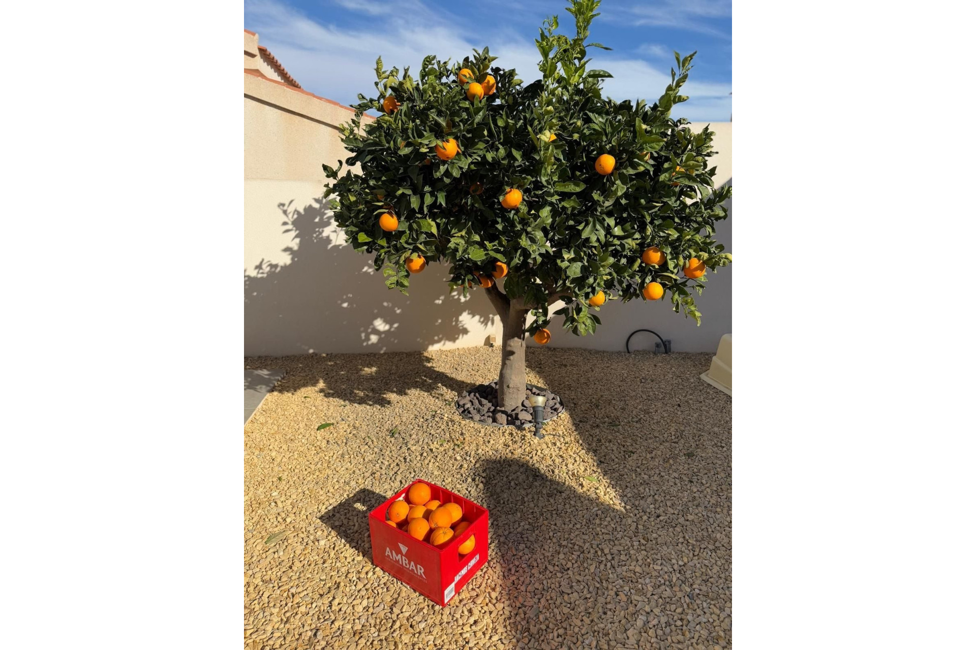 Resale - 3. Semi-detached house - Ciudad Quesada - Costa Blanca South