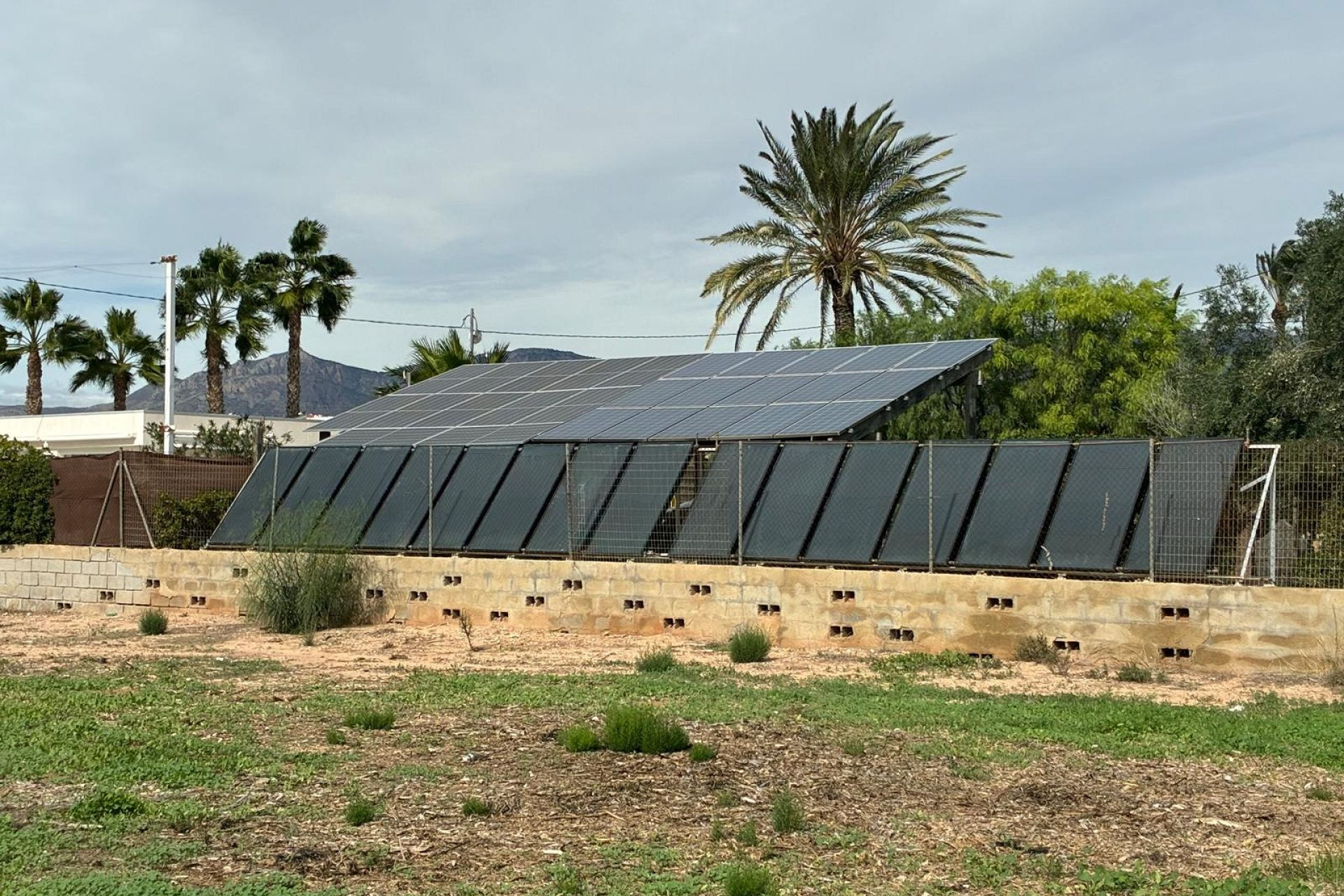 Resale - 3. Semi-detached house - Crevillente - Costa Blanca South